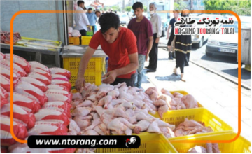 قیمت مصوب مرغ در سال 1404 هفته آینده اعلام می‌شود